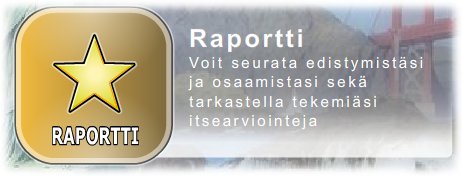Raportti